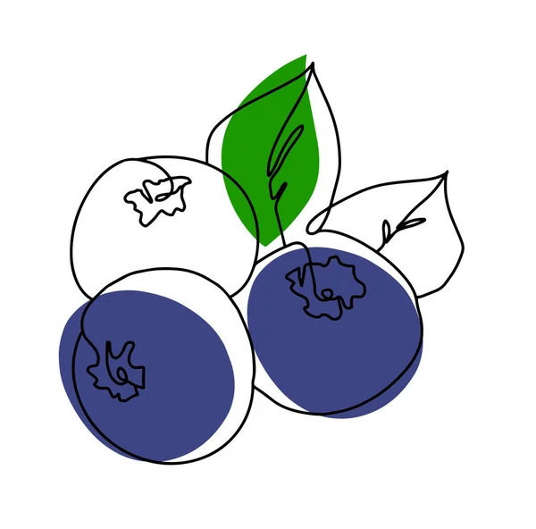 Lebensmittel Beere Blaubeere Früchte Lineare Grafische Elemente Logo Und Branding — Stockfoto