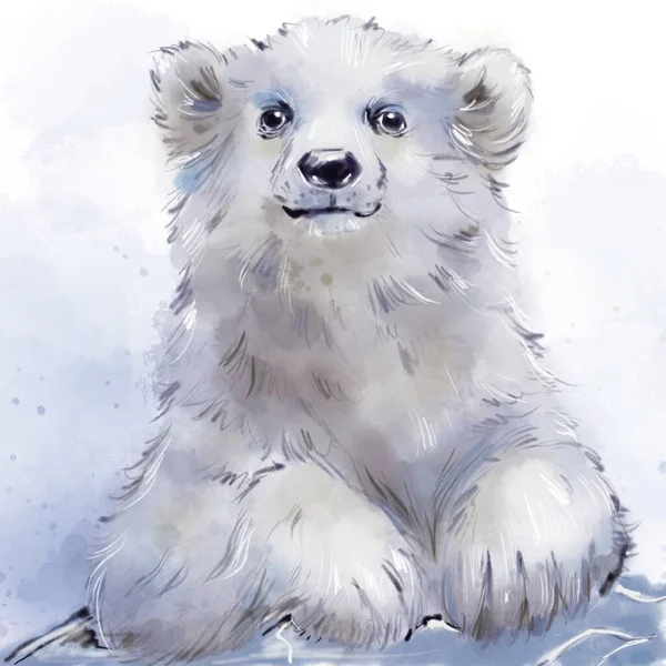 Handdraw antarctic white animal watercolor polar bear baby