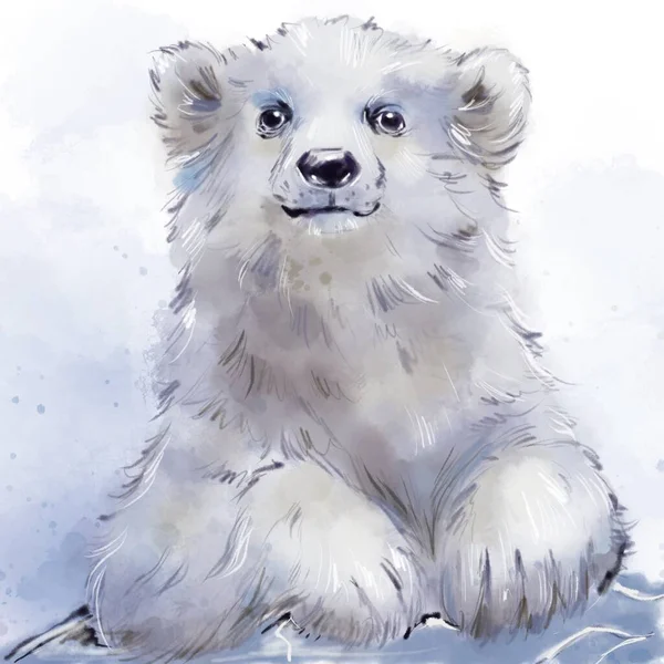 Handdraw Antártico Animal Branco Aquarela Urso Polar Bebê — Fotografia de Stock