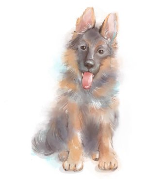 Yavru Alman çoban köpeğinin suluboya portresi. Aquarelle resmi beyaz arkaplanda izole edilmiş.