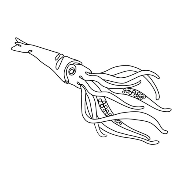 Lulas marinhas gigantes. Linha arte logo.Cuttlefish isolado — Vetor de Stock