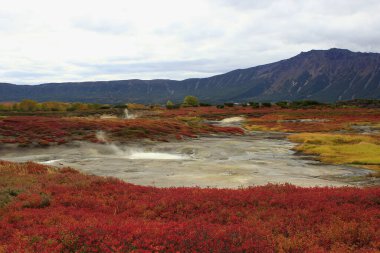 Manzara. Uzon volkanı Caldera - Kronotsky rezervi, Kamçatka