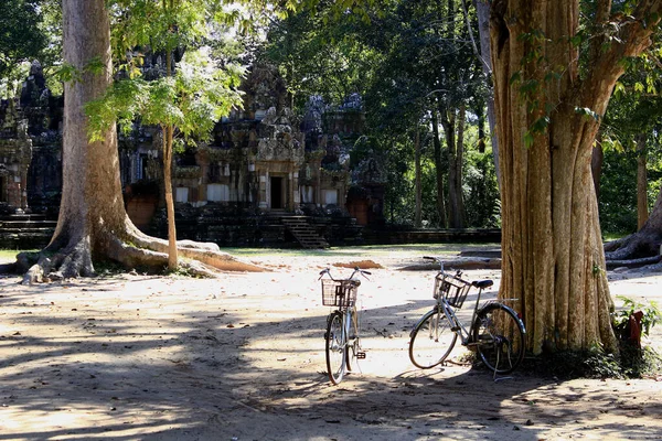 Angkor Arkeoloji Parkı. Siem Reap, Kamboçya