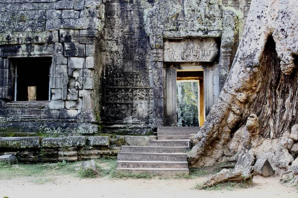 Dentro Templo Prohm Siem Reap Camboja — Fotografia de Stock