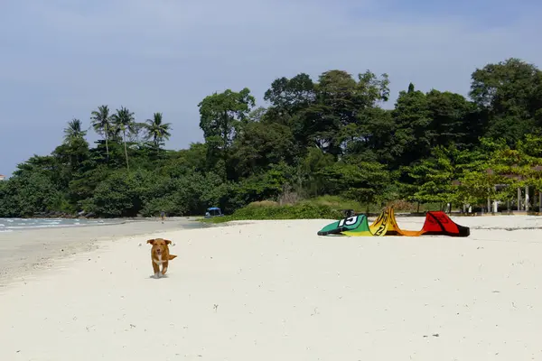 Mlop Chrey Beach Sihanoukville Kambodja — Stockfoto