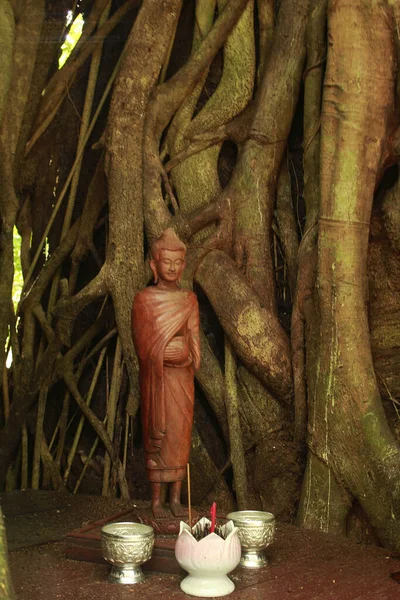 Estatueta Buda Dentro Uma Árvore Parque Nacional Kep Camboja — Fotografia de Stock