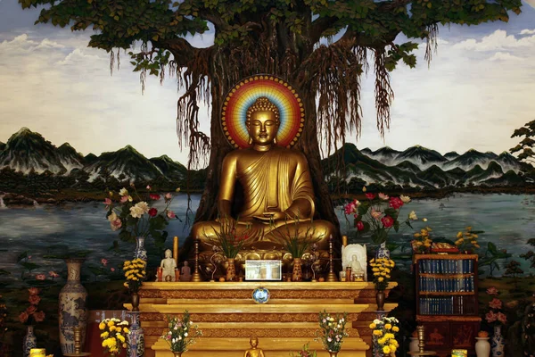 Wandzeichnung Buddha Einem Der Tempel Von Hoi Vietnam — Stockfoto