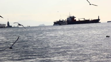 Büyük yük gemisi limana yaklaştığında. Martılar havada uçuyor.