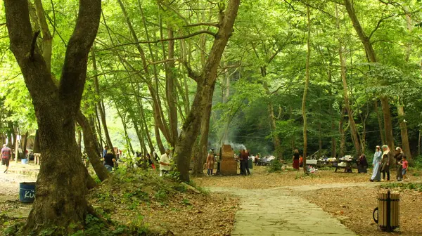 Orang Orang Bersenang Senang Dan Damai Dengan Keluarga Mereka Hutan — Stok Foto