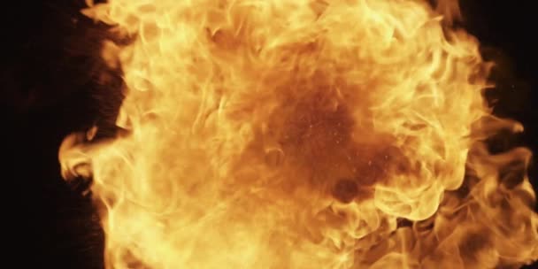 Cinematic Realistic Fire Flame — Stockvideo