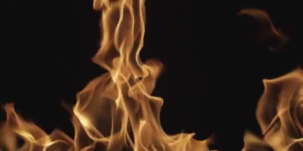 Ultra Realistic Flame Overlays — Stock video
