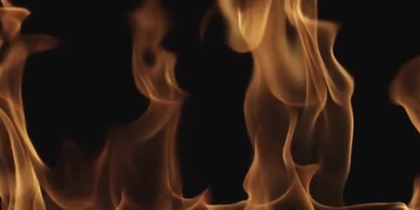 Ultra Realistyczne Nakładki Płomieniowe — Wideo stockowe