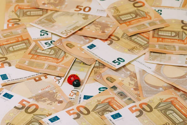Red Ladybug Background Banknotes — Stock Photo, Image