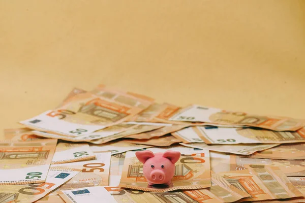 Economy Pink Pig Euro Banknotes — Stock Photo, Image