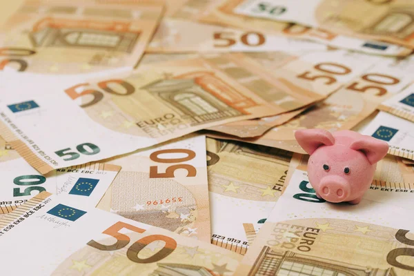 Economy Pink Pig Euro Banknotes — Stock Photo, Image