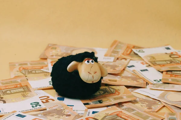 Black Sheep Money Yellow Background — Stock Photo, Image