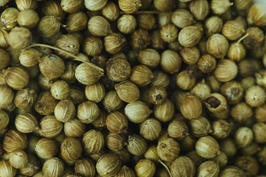 Karayip baharatlarının makro ayrıntıları. Doku için uygun