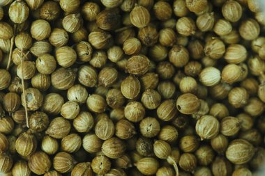 Karayip baharatlarının makro ayrıntıları. Doku için uygun