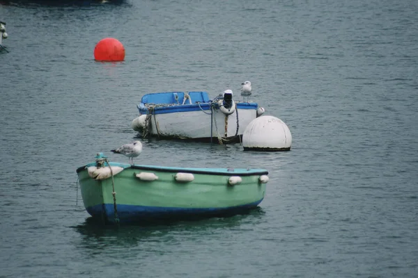 Barcos Coloridos Água Com Gaivotas Brittany França — Fotografia de Stock