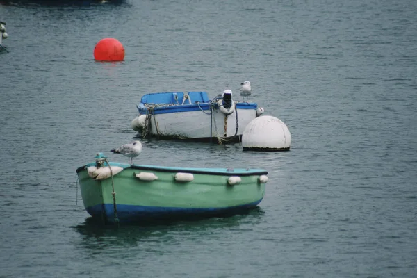 Colorful Boats Water Seagulls Brittany France — Stock Photo, Image