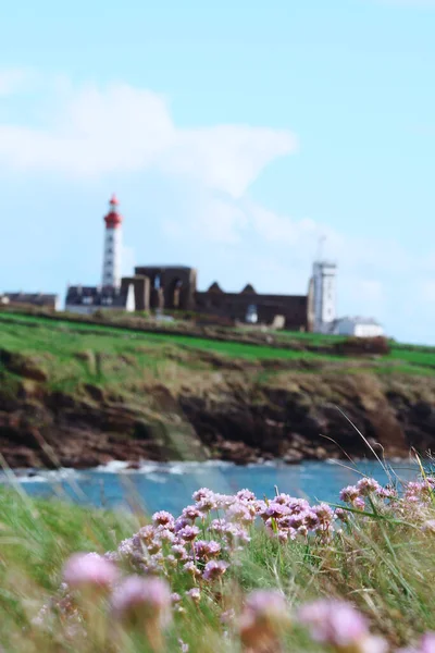 Vue Sur Phare Les Ruines Ancienne Église Avec Des Fleurs — Photo