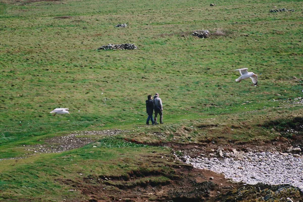 Twee Mensen Lopen Twee Meeuwen Vliegen Bretagne Frankrijk — Stockfoto