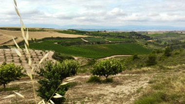 Santiago 'nun yürüyüşü. Yol ve haccın manzarası