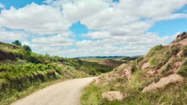 Santiago 'nun yürüyüşü. Yol ve haccın manzarası