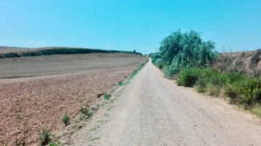 Santiago 'nun yürüyüşü. Yol ve haccın manzarası