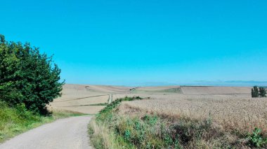 Santiago 'nun yürüyüşü. Yol ve haccın manzarası