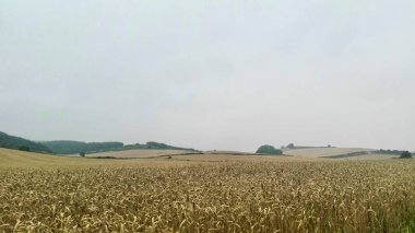 Santiago 'nun yürüyüşü. İleti, hac penceresi.