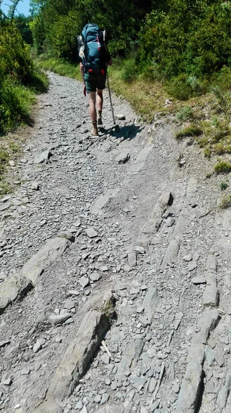 Santiago 'nun yürüyüşü. Hacı yolu ve manzarası. Sırt çantalı yolcu