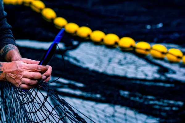 Hands Fisherman Work Fishing Net Tuna — Stock Photo, Image