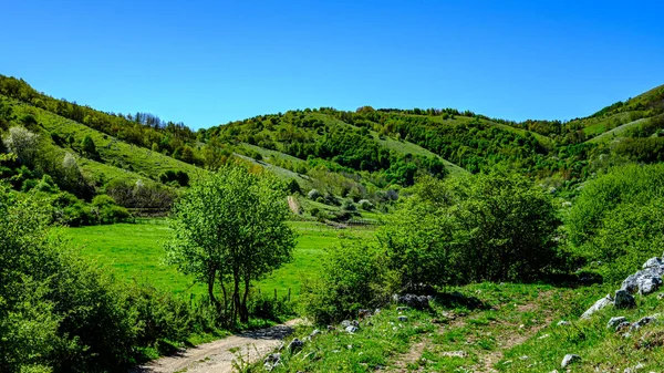Panorama Zielona Dolina Dolina Orchidei Kampania Włochy — Zdjęcie stockowe