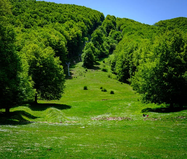 Laceno Gölü Panorama, Campania, İtalya. Yeşil dağ manzarası. bahar