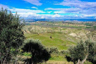 Calanchi Tepeleri, zeytin ağaçları ve dağları olan Basilicata Vadisi