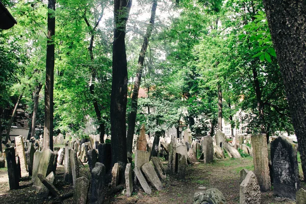 Чешская Республика Прага Июня 2015 Года Старое Еврейское Кладбище Праге — стоковое фото