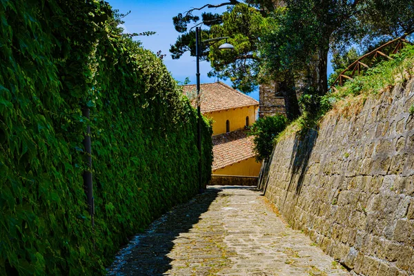 Castellabate Salerno Italy Country Lane Stairs Green Plants —  Fotos de Stock