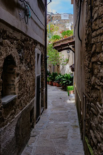 Castellabate Salerno Italy Country Lane Stairs Green Plants — Stock Photo, Image