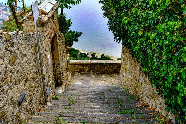 Castellabate Salerno Italy Country Lane Stairs Green Plant Sea —  Fotos de Stock