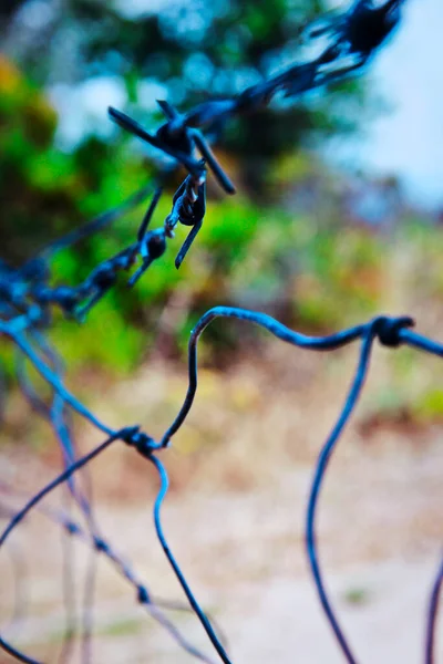Detail Barbed Wire Barriers Division — Φωτογραφία Αρχείου