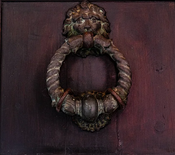 Antique Iron Door Knocker Wooden Door Lion — Stock Photo, Image