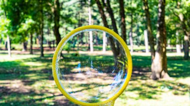 Yeşil parkta dev kabarcıklar havada süzülüyor.