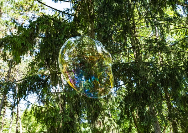 Γιγαντιαίες Φυσαλίδες Επιπλέουν Στον Αέρα Στο Πράσινο Πάρκο — Φωτογραφία Αρχείου
