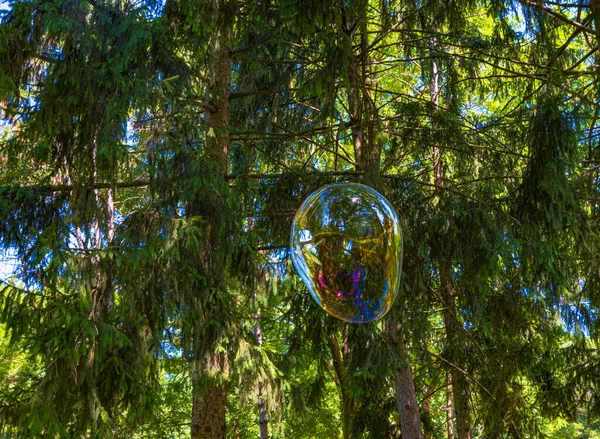 Гигантские Пузыри Плавают Воздухе Зеленом Парке — стоковое фото