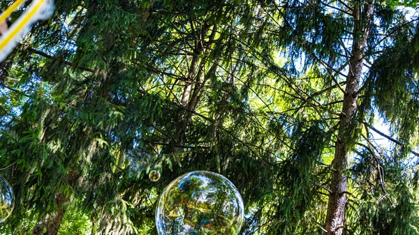 少女は緑の公園で巨大な泡を作り — ストック写真