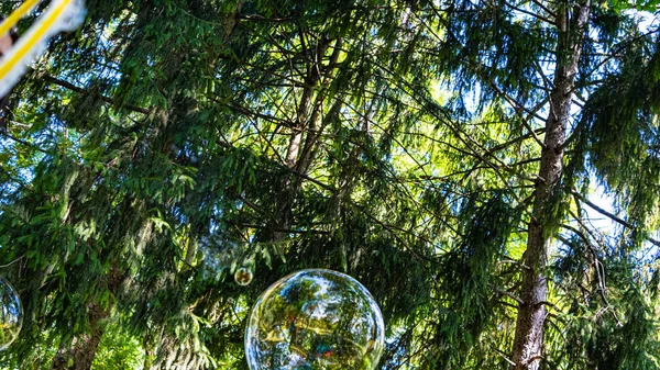 Girl Creates Giant Bubbles Green Park — 스톡 사진