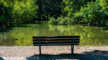 Doğal parktaki ördeklerin olduğu göletin önündeki boş bank.