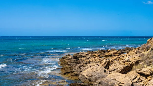 Kolonie Meeuwen Rotsen Met Blauwe Zee Blauwe Lucht — Stockfoto