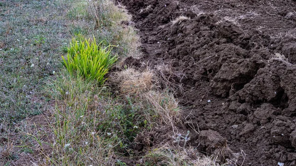 Detail Van Kluiten Grond Met Groen Gazon Ernaast Landgrens — Stockfoto